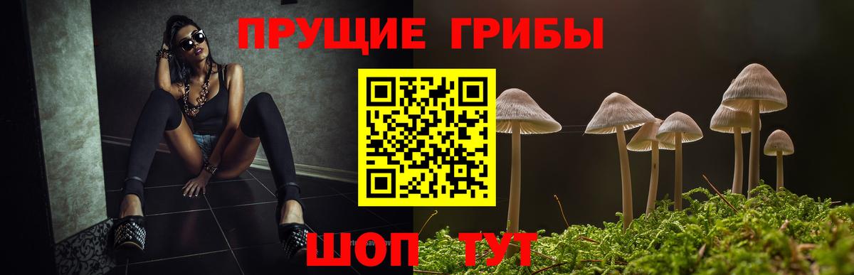 Галлюциногенные грибы GOLDEN TEACHER Нижний Новгород