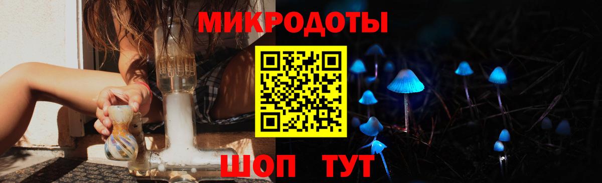 Галлюциногенные грибы Psilocybine cubensis  Псилоцибиновые грибы Cubensis  Вход с VPN  Нижний Новгород 